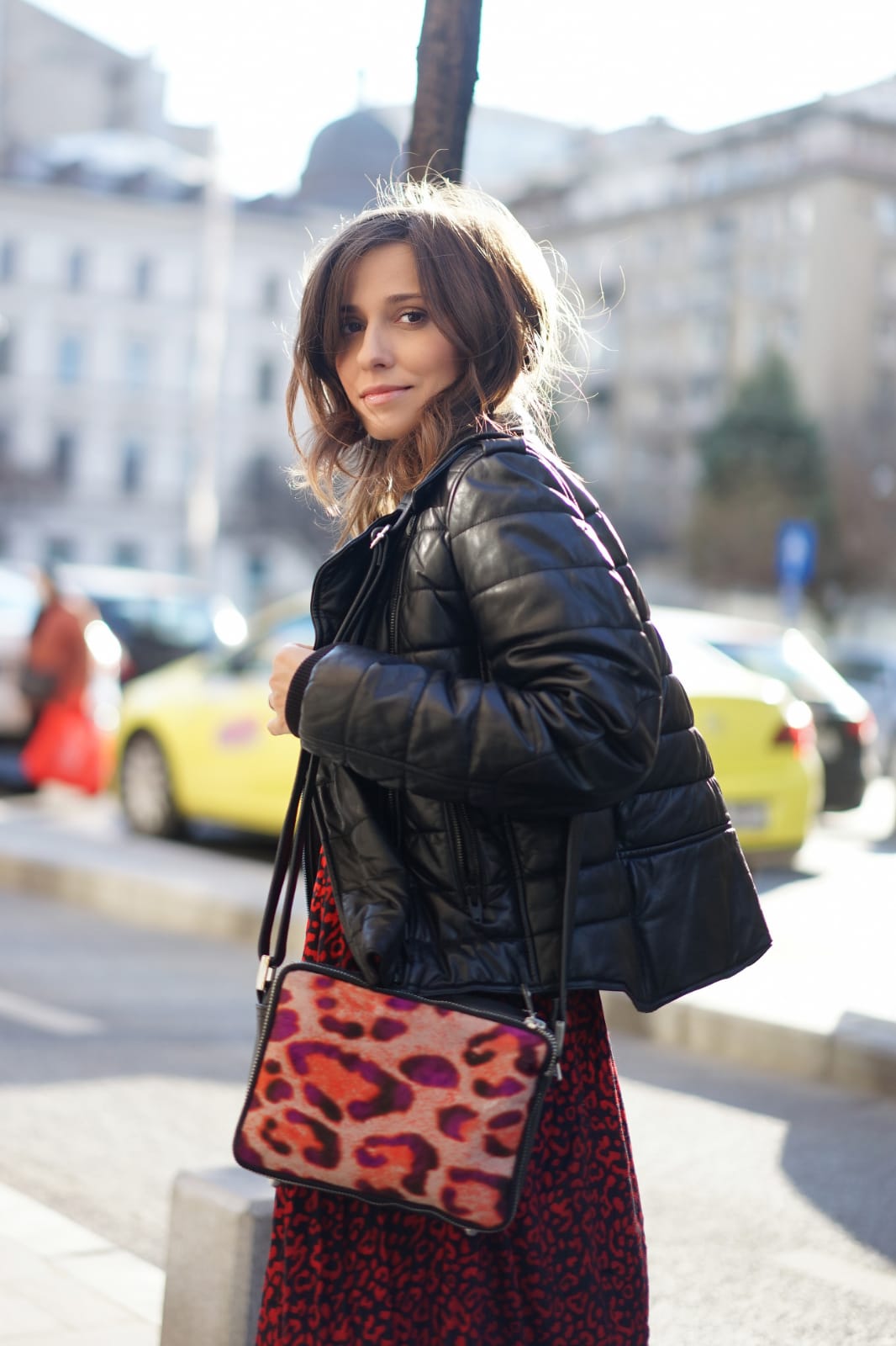 Changeable Pockets for Moon Bag