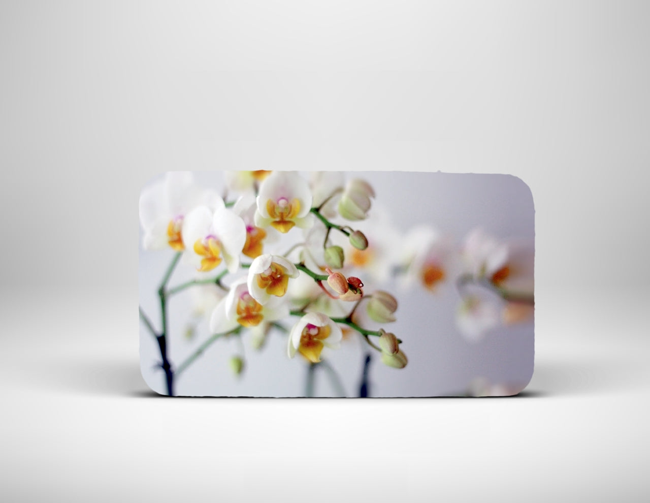 Changeable Covers for Moon Clutch